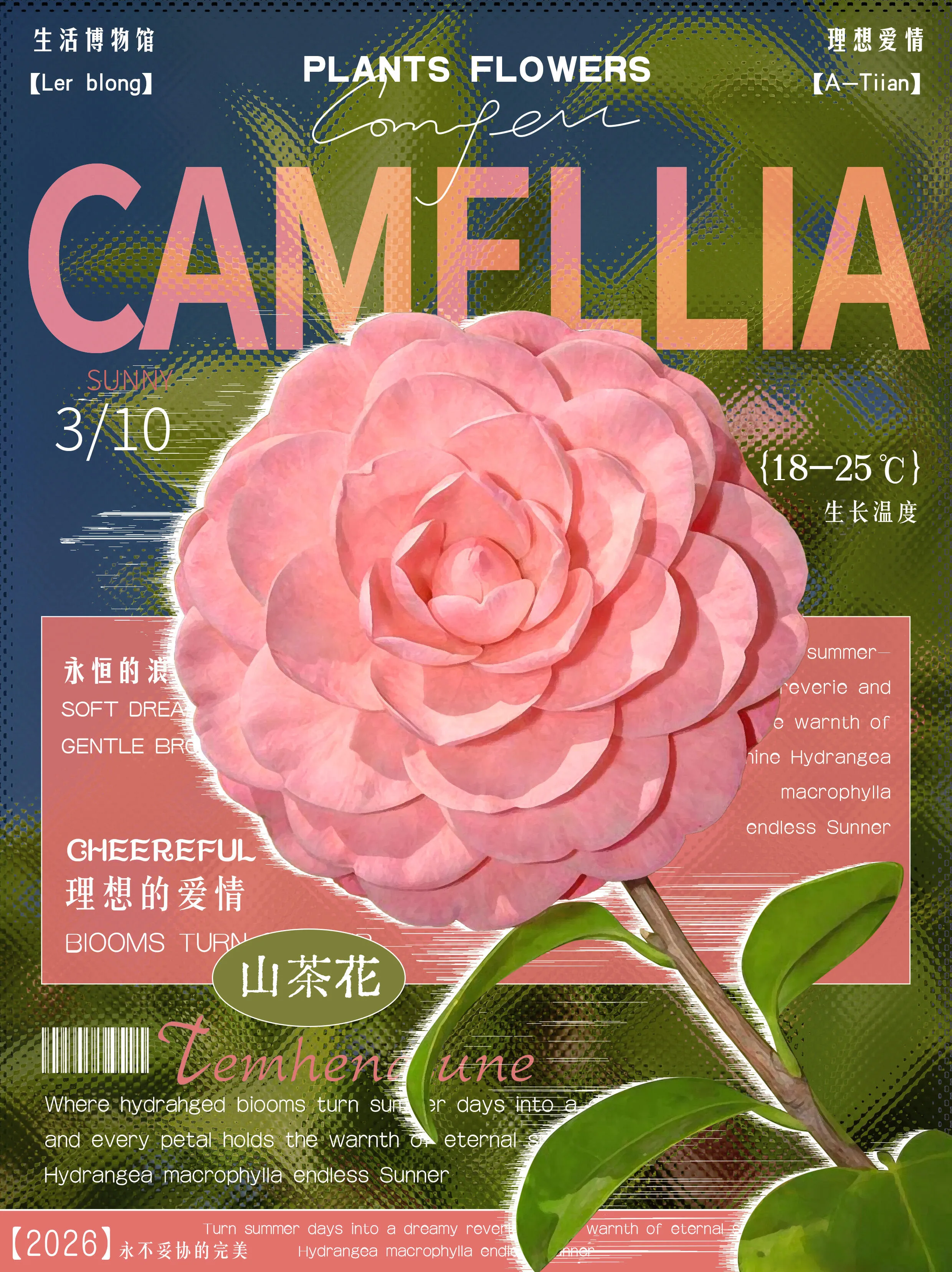Camellia Diary